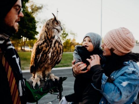 Earth-Wings-Owl-Kid